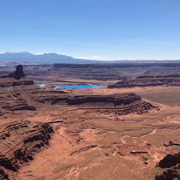 Meet your Posher, Ahmad - Picture 3 of 4